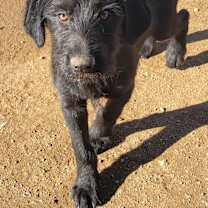 Thumbnail photo of Jet #1