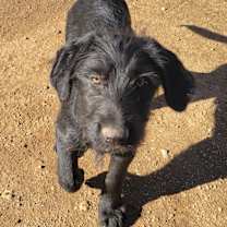 Thumbnail photo of Jet #2