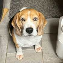 Thumbnail photo of Dakota #2