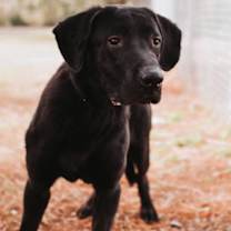 Thumbnail photo of 90040a Trader Joe #3