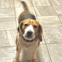 Thumbnail photo of Dakota #4