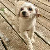 Thumbnail photo of DJ #1