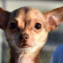 Thumbnail photo of Bubbles #1