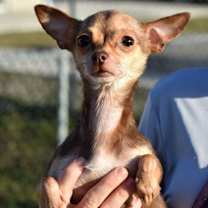 Thumbnail photo of Bubbles #2