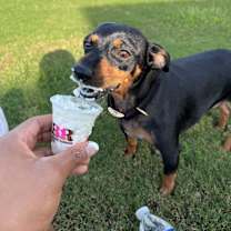 Thumbnail photo of ZAC #4