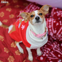 Thumbnail photo of Helen #1