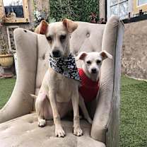 Thumbnail photo of Maddy #3