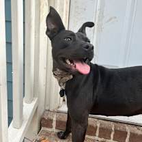 Thumbnail photo of Matilda May #3