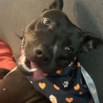 Thumbnail photo of Matilda May #4