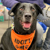 Thumbnail photo of Tory #1