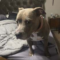 Thumbnail photo of Sissy #2