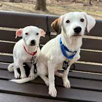 Thumbnail photo of Lucy #4