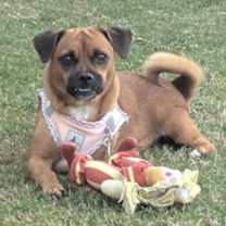 Thumbnail photo of Baby Saja #4