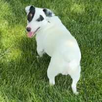 Thumbnail photo of Cargo #4