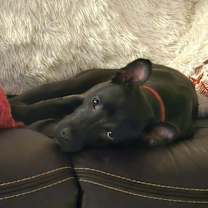 Thumbnail photo of Angela #4