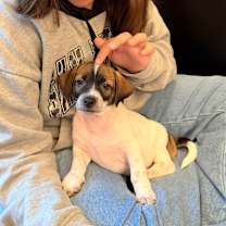 Thumbnail photo of Mystery #1