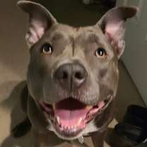 Thumbnail photo of Charity #2