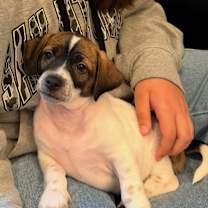 Thumbnail photo of Mystery #2