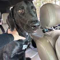 Thumbnail photo of Chipo #1