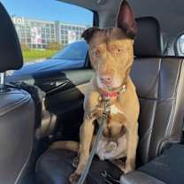 Thumbnail photo of Cruz #1