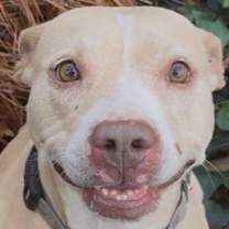 Thumbnail photo of Athena Clayton #1