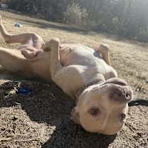 Thumbnail photo of Athena Clayton #3