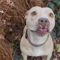 Thumbnail photo of Athena Clayton #4