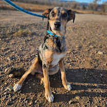 Thumbnail photo of Lorenzo #1