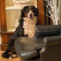 Thumbnail photo of Billie Jo #4