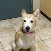 Thumbnail photo of Taylor (mcas) #1