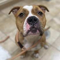 Thumbnail photo of Chum Chum #1