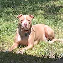 Thumbnail photo of Keystone #1