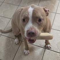 Thumbnail photo of Keystone #2