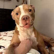 Thumbnail photo of Keystone #3