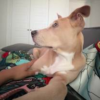 Thumbnail photo of Tango #4