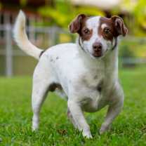 Thumbnail photo of Ernie #2