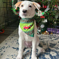 Thumbnail photo of Zoe #1