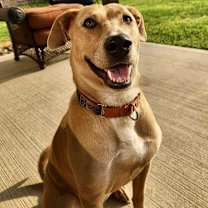 Thumbnail photo of Cleveland #1