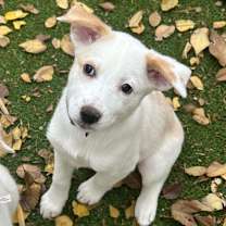 Thumbnail photo of Zoe #3