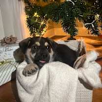 Thumbnail photo of Spud #4