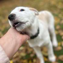 Thumbnail photo of Zoe #4