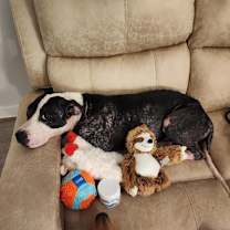 Thumbnail photo of Addie #2