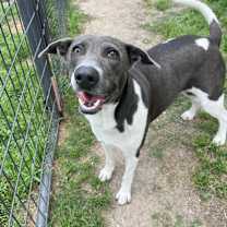 Thumbnail photo of Celine Dion #2