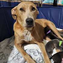 Thumbnail photo of Cleveland #2