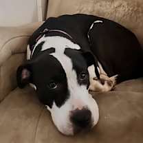 Thumbnail photo of Addie #3