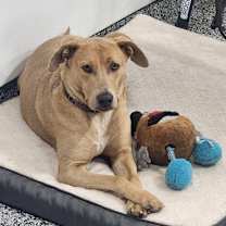 Thumbnail photo of Cleveland #3