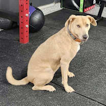 Thumbnail photo of Cleveland #4