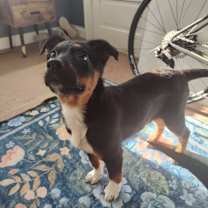 Thumbnail photo of Louise #3