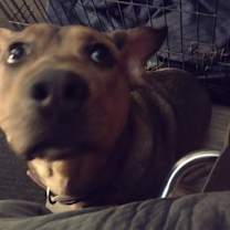 Thumbnail photo of Clark #4