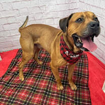 Thumbnail photo of Alexei #4